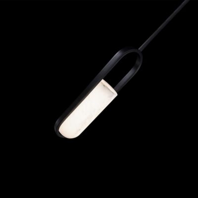 Shown in Black finish, lit