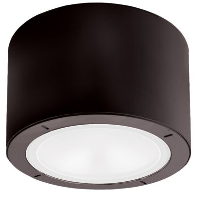 Vessel LED Outdoor Flushmount