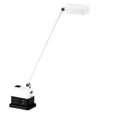 Daphine Cilindro LED Table Lamp
