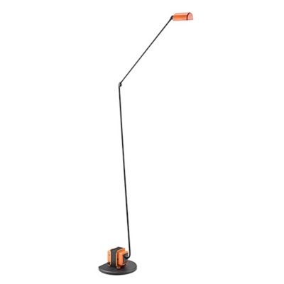 Daphine 50th Anniversary LED Floor Lamp