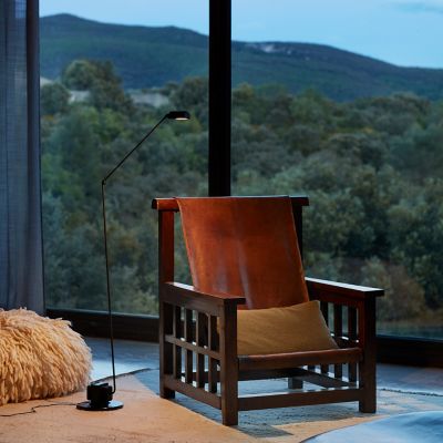 Daphine Terra LED Floor Lamp