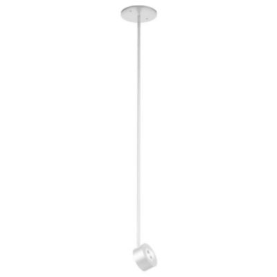 Favilla LED Pendant