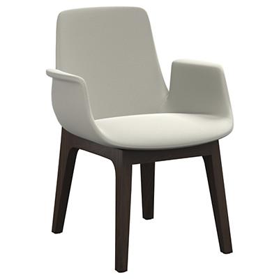 Paolina Dining Arm Chair