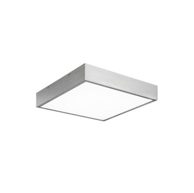 Tore LED Flush Mount Ceiling Light