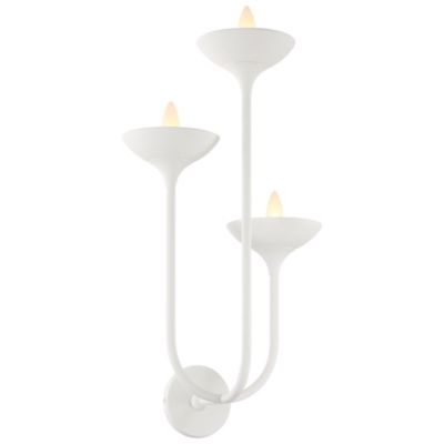 Ryton 3-Light Wall Sconce