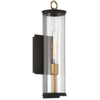Cara Outdoor Wall Sconce