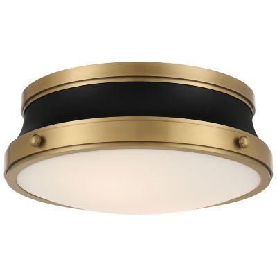 Purelight Flushmount