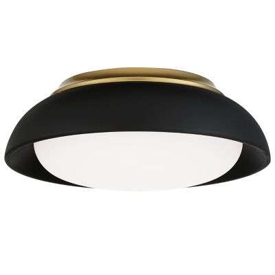 LED Flushmount (Coal with Honey Gold|Small) - OPEN BOX