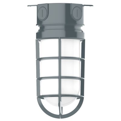 Alexia Outdoor Flushmount