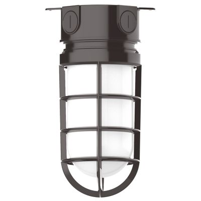 Alexia Outdoor Flushmount