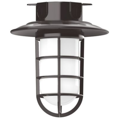 Alexia Outdoor Flushmount