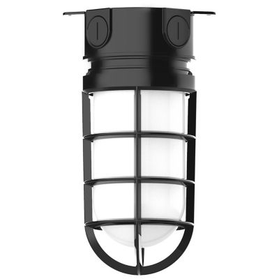 Alexia Outdoor Flushmount