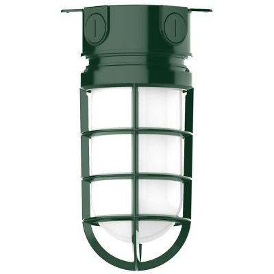 Alexia Outdoor Flushmount