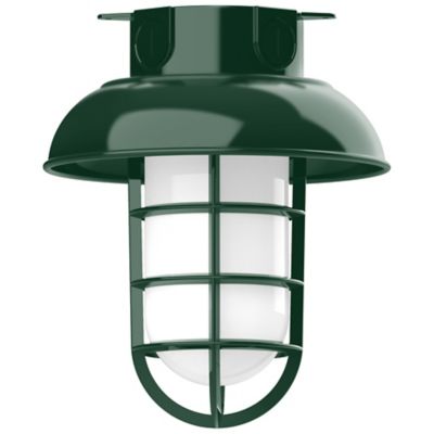 Alexia Outdoor Flushmount