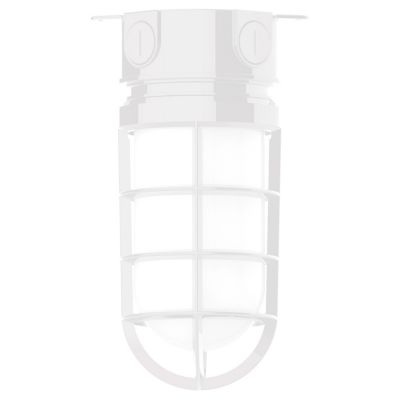Alexia Outdoor Flushmount