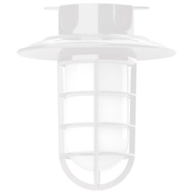 Alexia Outdoor Flushmount