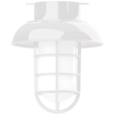 Alexia Outdoor Flushmount