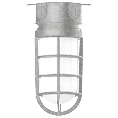 Alexia Outdoor Flushmount