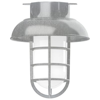 Alexia Outdoor Flushmount