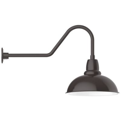 Rhonda Outdoor Gooseneck Wall Sconce
