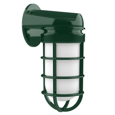 Alexia Outdoor Wall Sconce