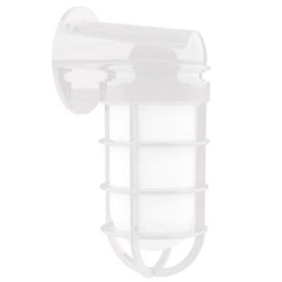 Alexia Outdoor Wall Sconce