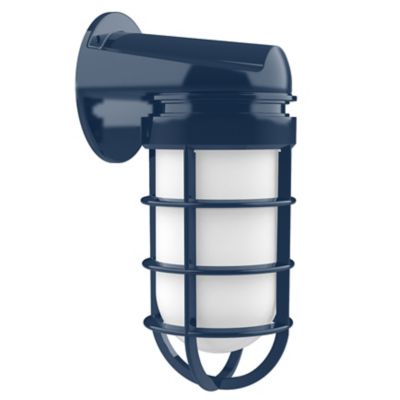 Alexia Outdoor Wall Sconce