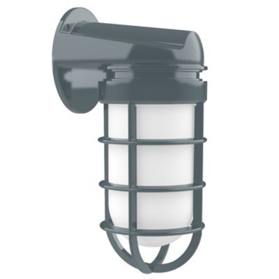 Alexia Outdoor Wall Sconce