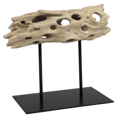 Dwell Cholla Decorative Object