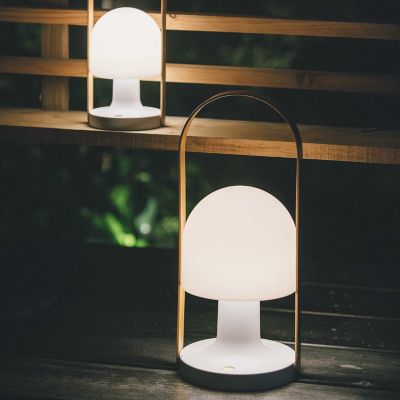 Shown in Matte White Base, FollowMe Plus size, lit, in use