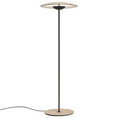 LED-Ginger Floor Lamp