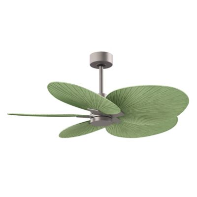 Alessandra Tropical 5 Blade Ceiling Fan