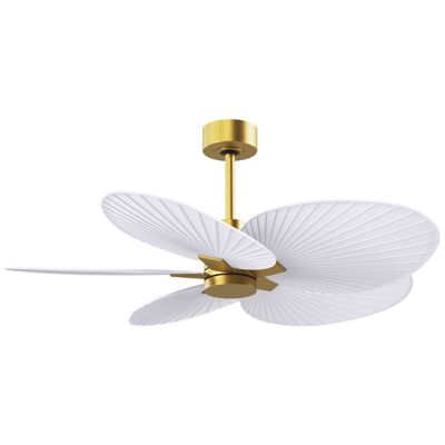 Alessandra Tropical 5 Blade Ceiling Fan