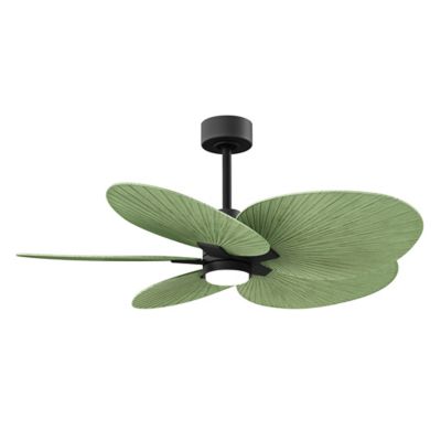 Alessandra Tropical 5 Blade LED Ceiling Fan