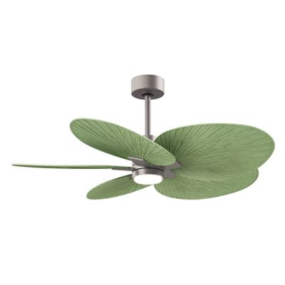 Alessandra Tropical 5 Blade LED Ceiling Fan