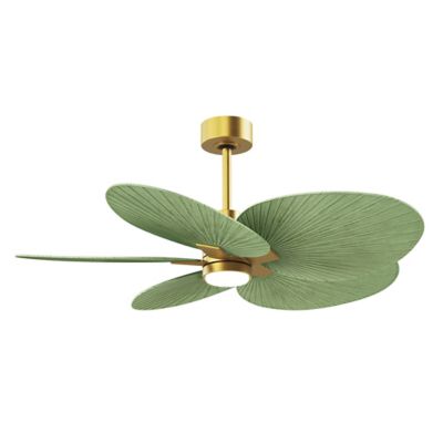Alessandra Tropical 5 Blade LED Ceiling Fan