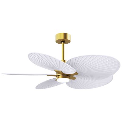 Alessandra Tropical 5 Blade LED Ceiling Fan