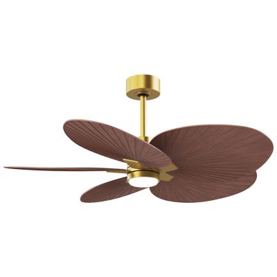 Alessandra Tropical 5 Blade LED Ceiling Fan