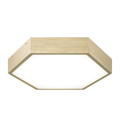 Alfonso LED Flush Mount Ceiling Light