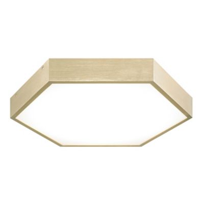 Alfonso LED Flush Mount Ceiling Light