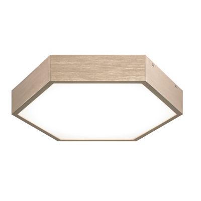 Alfonso LED Flush Mount Ceiling Light