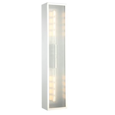 Federigo Rectangular Wall / Ceiling Light