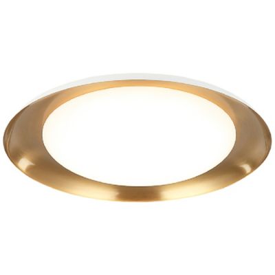 Landia LED Flushmount