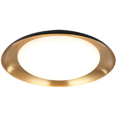 Landia LED Flushmount