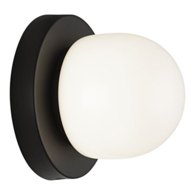 Danetta Wall / Ceiling Light