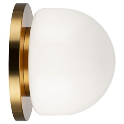 Danetta Wall / Ceiling Light