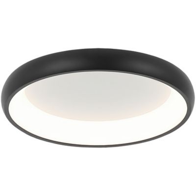 Philippine LED Flushmount