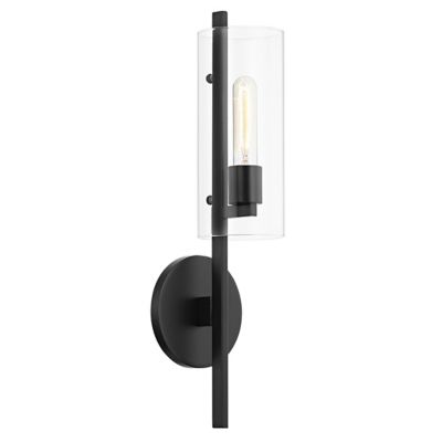 Ariel 1-Light Wall Sconce