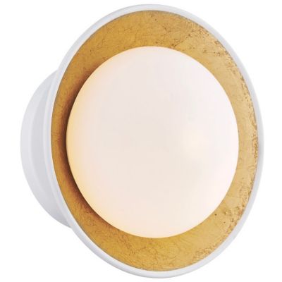 Cadence LED Semi-Flushmount Wall/Ceiling Light