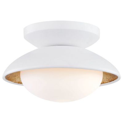 Cadence LED Semi-Flushmount Wall/Ceiling Light